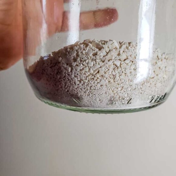 San Francisco DEHYDRATED SOURDOUGH STARTER 3 OUNCES 200+ YRS OLD STRONG - Picture 7 of 16